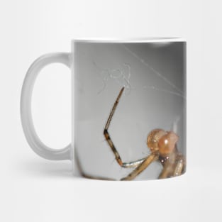 The spider and the fly Mug